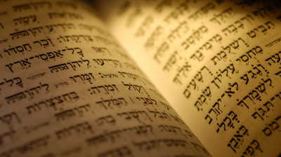 האדם לכל אורך ימי חייו נזקק ללא הרף לחסדי שמים. אלמלי כך, לא היה נוצר קשר אמיתי בין הייצור ליוצרו. הצרכים השוטפים של האדם מהווים את הבסיס האיתן לקשר רציף ויום יומי עם הקדוש ברוך הוא.