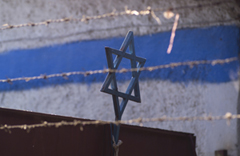 התורה והאמונה - כסולם ערכים יציב בשואה