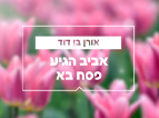 אביב הגיע פסח בא 