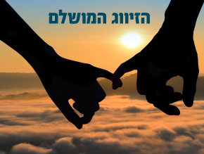 הזיווג המושלם